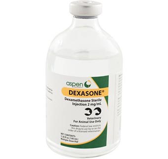 Dexasone Inj. 2mg/mL 100mL