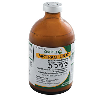 Bactreacillin G Injectable Suspension