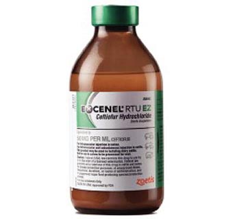 Excenel RTU EZ 250mL